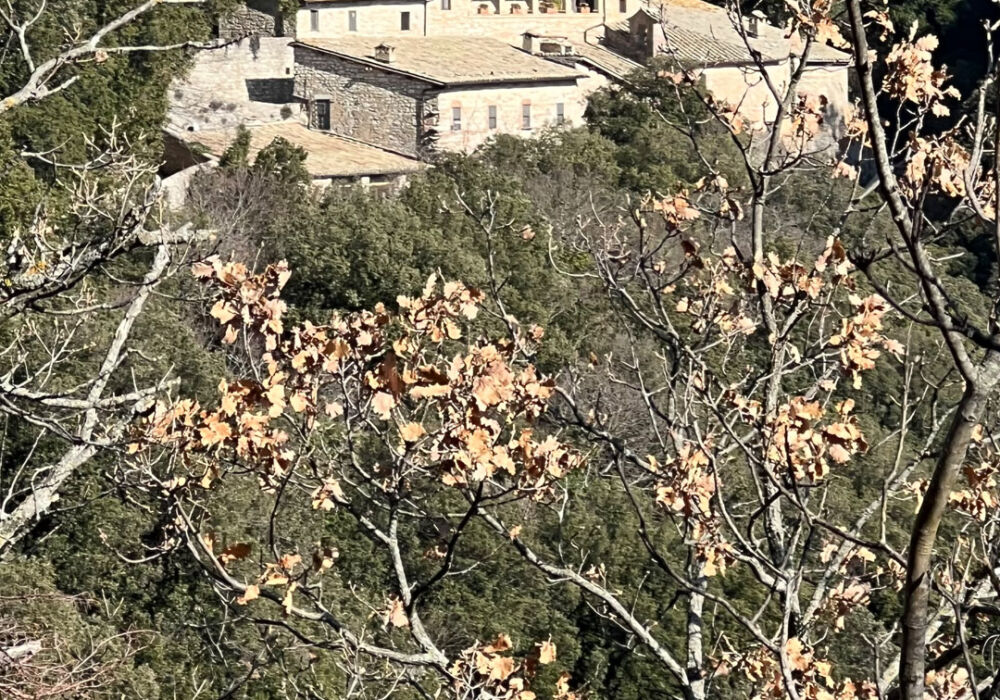 C634AD99-6383-4B19-8E9D-AE7D2E3E2D7D-L0-001