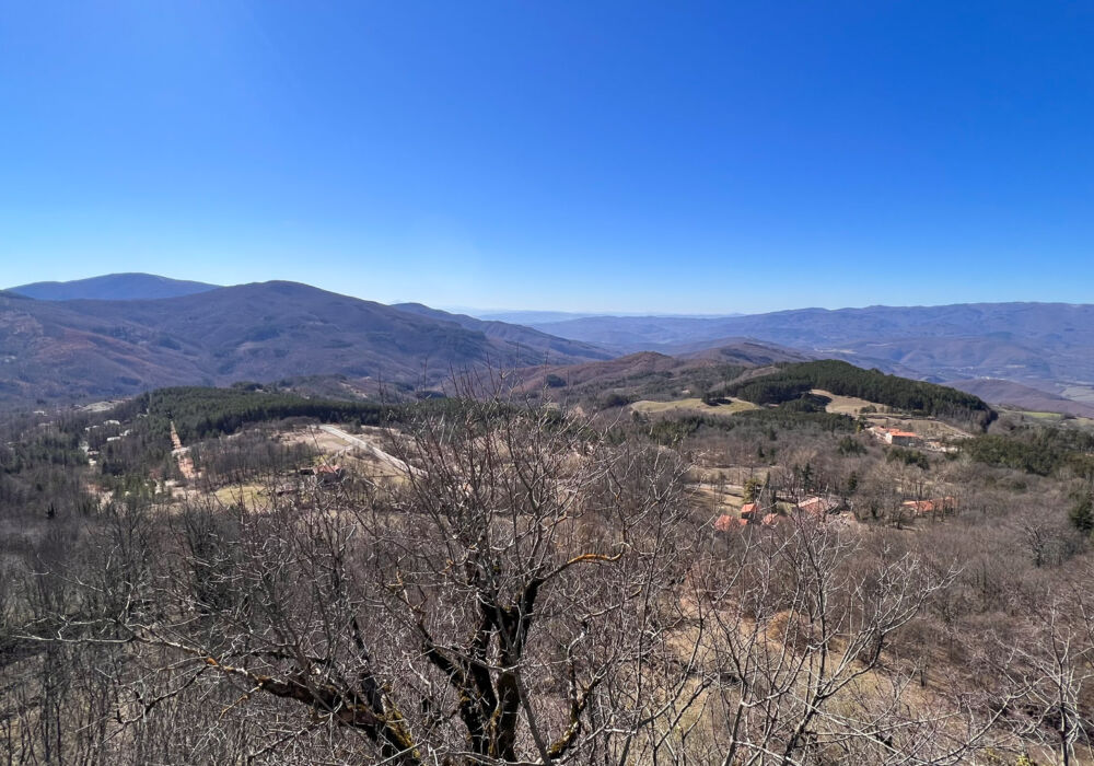 24CA1296-380D-479D-BED2-A954F9467247-L0-001