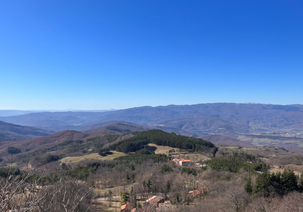 2BBDC416-51F6-40BE-817B-B7B257FBF465-L0-001