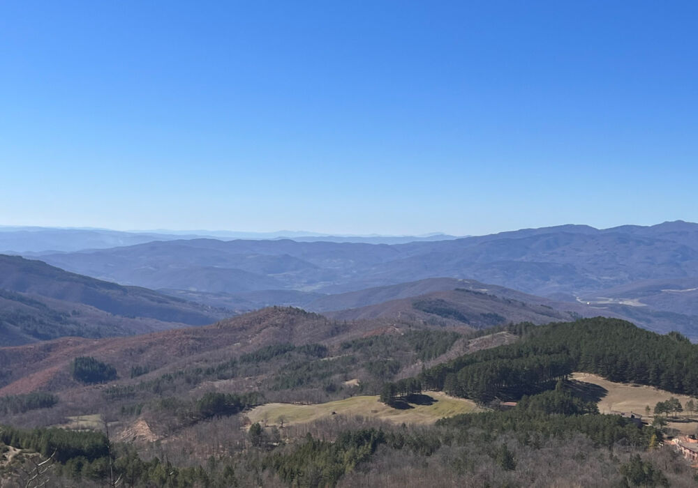 42AA1140-D02C-4E1F-9EA1-9B32AAF2A095-L0-001