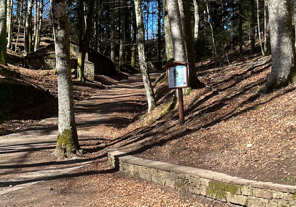 4BEC40CB-3628-4157-B3AB-9070667B0B6C-L0-001